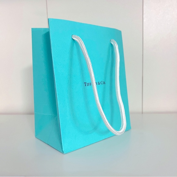 Tiffany & Co. Small Shopping Bag (single bag) - Picture 2 of 5